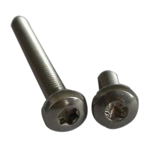 Pan head torx anti-theft bolt